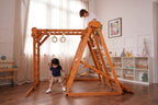 Avenlur Chestnut wooden playset for kids with monkey bars