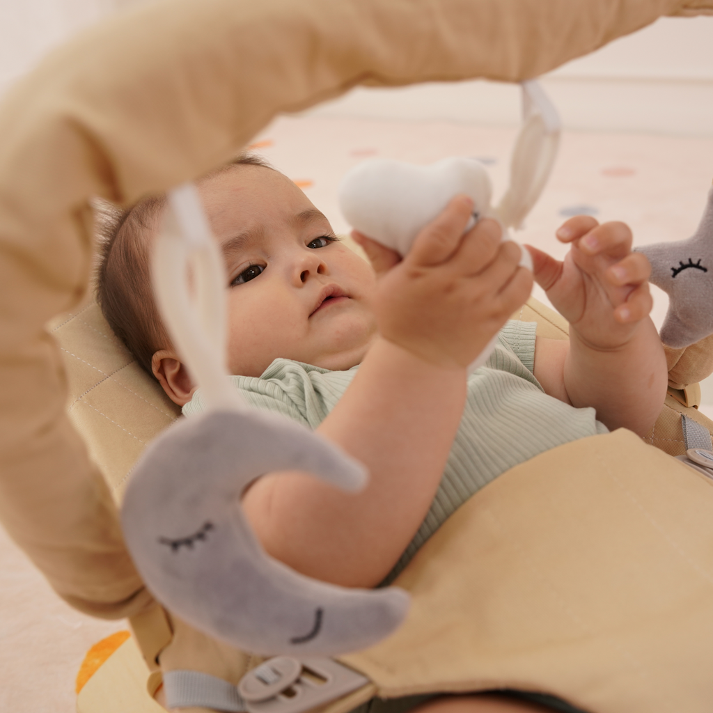 Avenlur Fir baby bouncer features: adjustable recline, washable cushion, folds flat