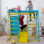 Avenlur Magnolia kids indoor jungle gym with monkey bars and climbing net